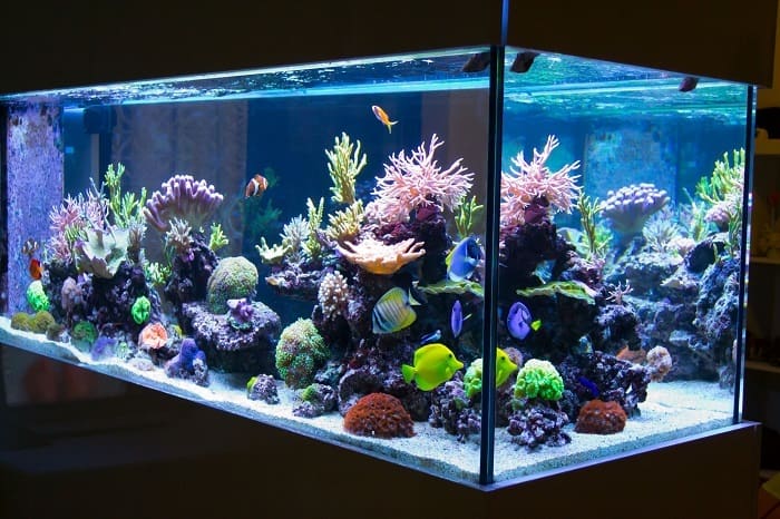 Aquarium.