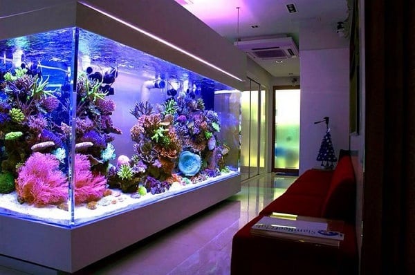 Big aquarium.
