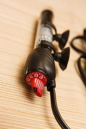 Control dial on an aquarium heater.